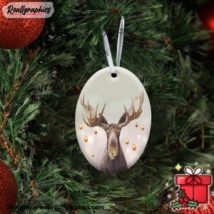 moose-chritsmas-ornament-home-decor-christmas-tree-dercor-gift-ideas-2