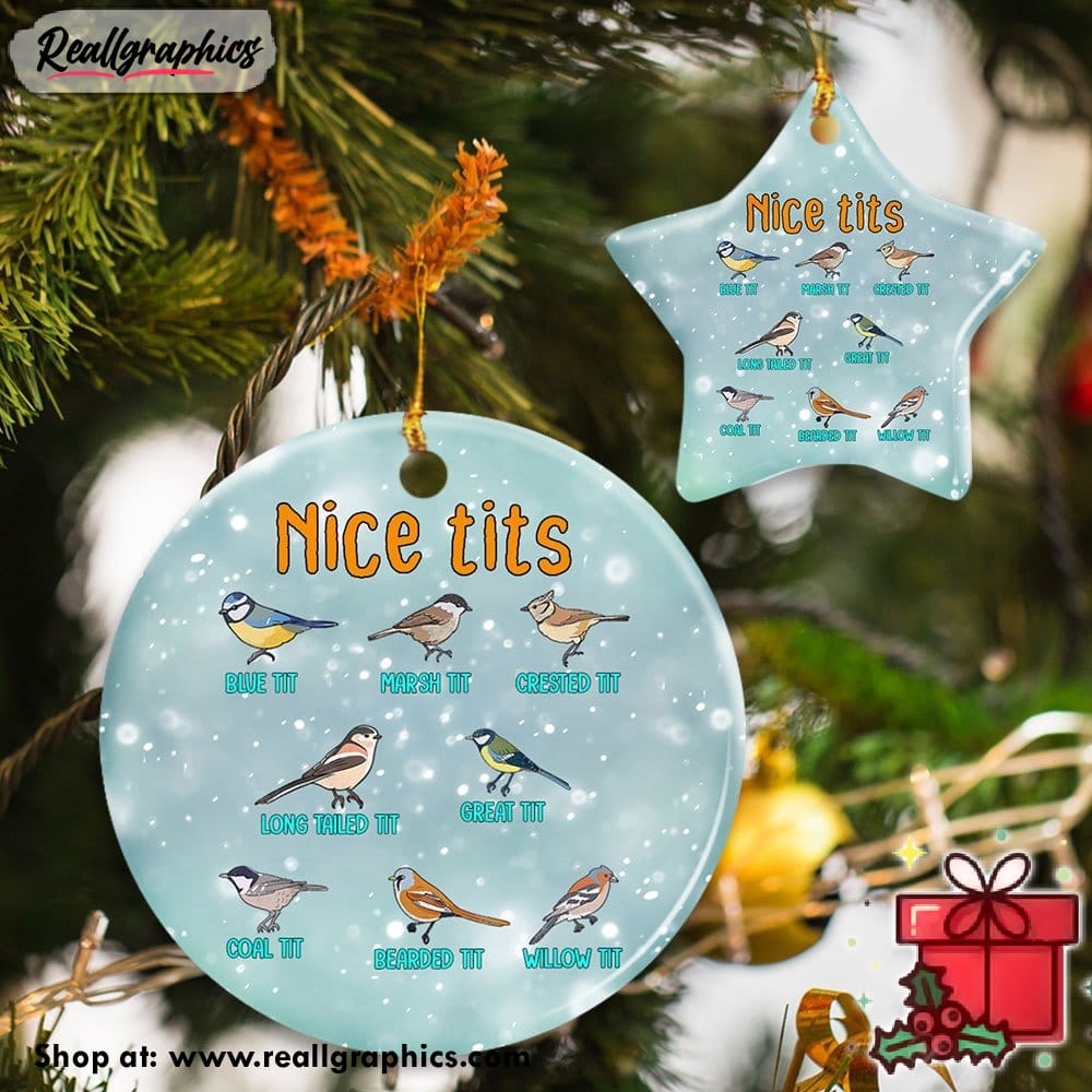 nice tits watching small birding christmas ceramic ornament