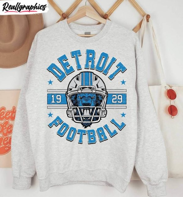 funny detroit lions shirt, football long sleeve unisex hoodie