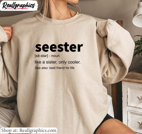 modern-seester-noun-shirt-seester-definition-sweatshirt-hoodie-best-sister-gift-women-2