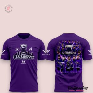 2024 pwhl walter cup champions minnesota hoodie purple